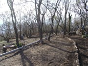 Thumbs/tn_Dsc00479.jpg