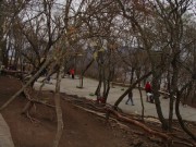 Thumbs/tn_Dsc00618.jpg