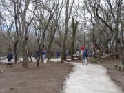 Thumbs/tn_Dsc00688.jpg