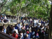 Thumbs/tn_Dsc05487.jpg