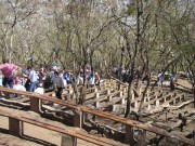 Thumbs/tn_Dsc06217.jpg