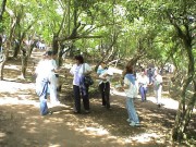 Thumbs/tn_Dsc00052.jpg