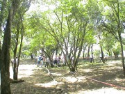 Thumbs/tn_Dsc00055.jpg