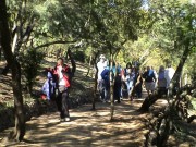 Thumbs/tn_Dsc00025.jpg