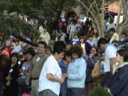 Thumbs/tn_Dsc00236.jpg