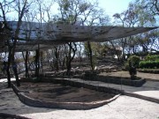Thumbs/tn_Dsc00129.jpg