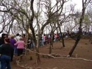Thumbs/tn_Dsc03217.jpg