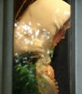 Thumbs/tn_DSC05495-3.jpg