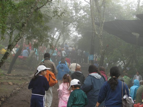 ../Images/Dsc06468.jpg