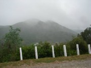 Thumbs/tn_Dsc06267.jpg