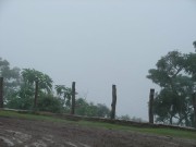 Thumbs/tn_Dsc06526.jpg