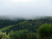 Thumbs/tn_Dsc06736.jpg