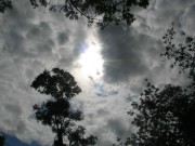 Thumbs/tn_Dsc07365.jpg