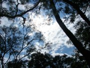 Thumbs/tn_Dsc07407.jpg