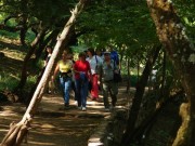 Thumbs/tn_Dsc08075.jpg