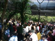 Thumbs/tn_Dsc08228.jpg