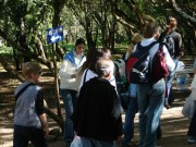 Thumbs/tn_Dsc00080.jpg
