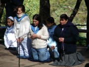Thumbs/tn_Dsc02837.jpg