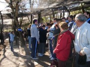 Thumbs/tn_Dsc03058.jpg