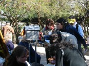 Thumbs/tn_Dsc03070.jpg