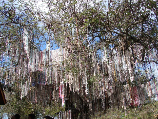 ../Images/Dsc03638.jpg