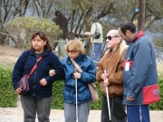 Thumbs/tn_Dsc04250.jpg