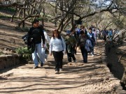 Thumbs/tn_Dsc04750.jpg