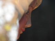Thumbs/tn_Dsc05210.jpg