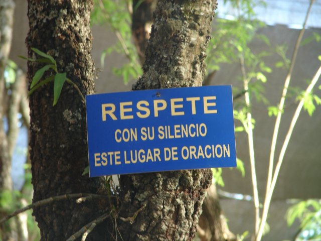 ../Images/Dsc00073.jpg