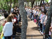 Thumbs/tn_Dsc09796.jpg