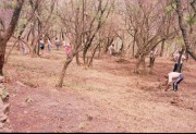 Thumbs/tn_2002-10-12a.jpg